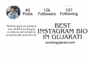 Best Instagram Bio in Gujarati