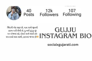 Gujju Instagram Bio
