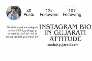 Instagram Bio in Gujarati Attitude