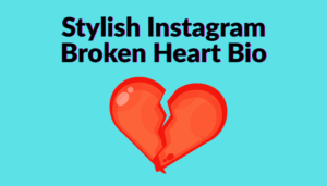 Best Broken Bio in Gujarati For Instagram 2025 || Sad Instagram bio