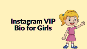 Best Instagram Vip Bio in Gujarati Copy and Paste In Hindi