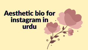 Aesthetic Bio in Gujarati for Instagram (Copy And Paste) | Aesthetic bio