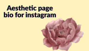 Aesthetic Bio in Gujarati for Instagram (Copy And Paste) | Aesthetic bio