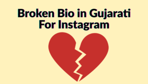 Broken Bio in Gujarati For Instagram