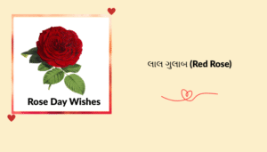 “ગુલાબ દિવસ” ની શુભેચ્છા, શાયરી, અવતરણ અને રોચક માહિતી