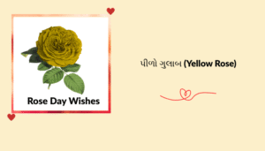 “ગુલાબ દિવસ” ની શુભેચ્છા, શાયરી, અવતરણ અને રોચક માહિતી