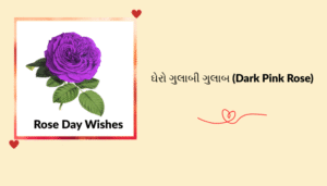 “ગુલાબ દિવસ” ની શુભેચ્છા, શાયરી, અવતરણ અને રોચક માહિતી