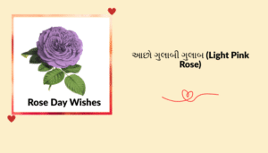 “ગુલાબ દિવસ” ની શુભેચ્છા, શાયરી, અવતરણ અને રોચક માહિતી