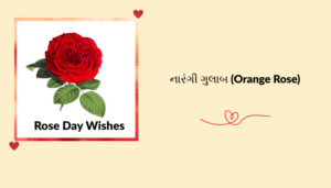 “ગુલાબ દિવસ” ની શુભેચ્છા, શાયરી, અવતરણ અને રોચક માહિતી