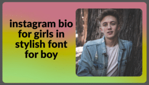 Best Instagram Bio in Gujarati For Girls In Stylish Font